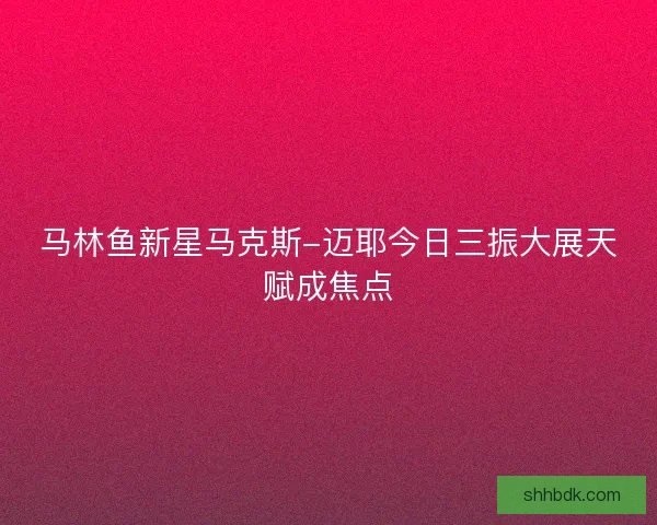 马林鱼新星马克斯-迈耶今日三振大展天赋成焦点